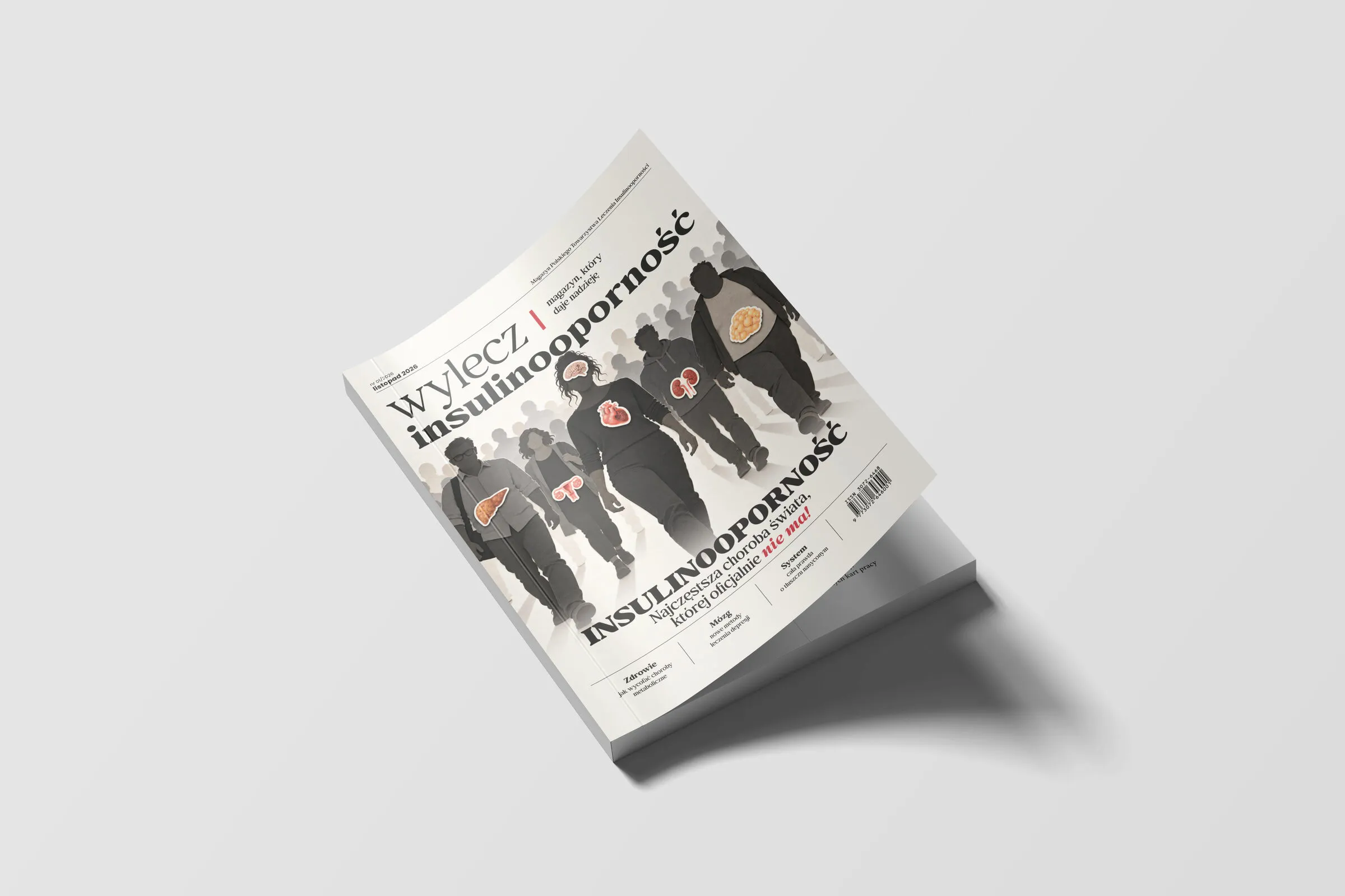 Bracia Rodzeń – Magazyn „Wylecz Insulinooporność” – zdjęcie 1